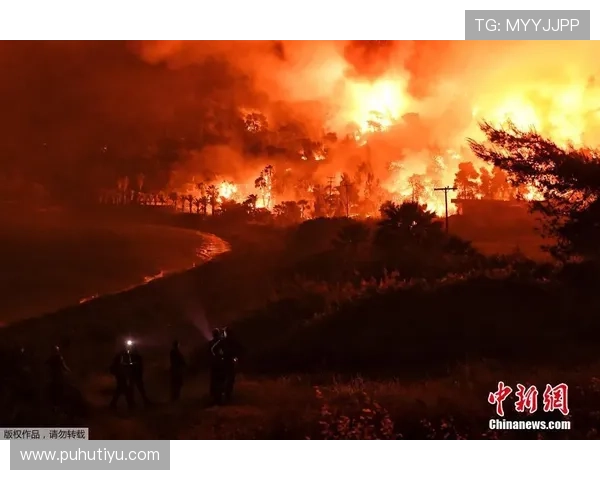开云体育pp常见问题解答，解决你的使用疑问与技术难题