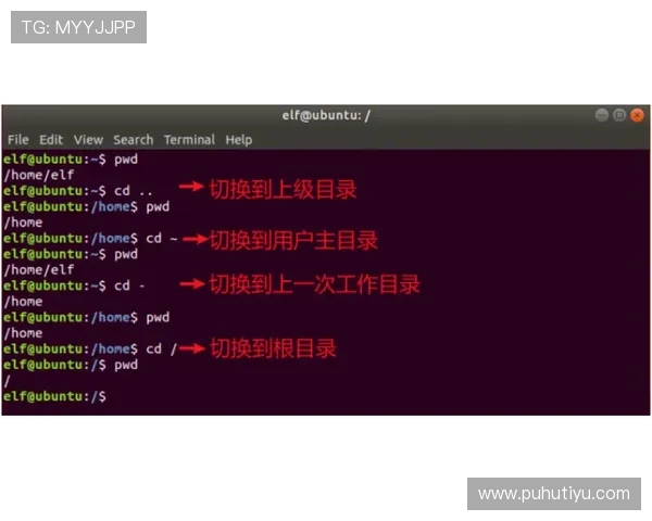 尊龙官网新手入门指南,详细介绍注册、登录及基础操作流程